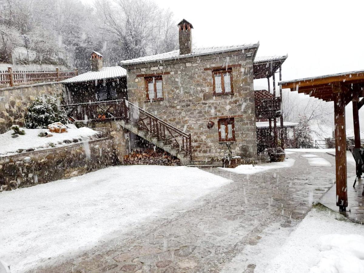 Πέτρινο Όραμα Hotel Kotronion  Buitenkant foto