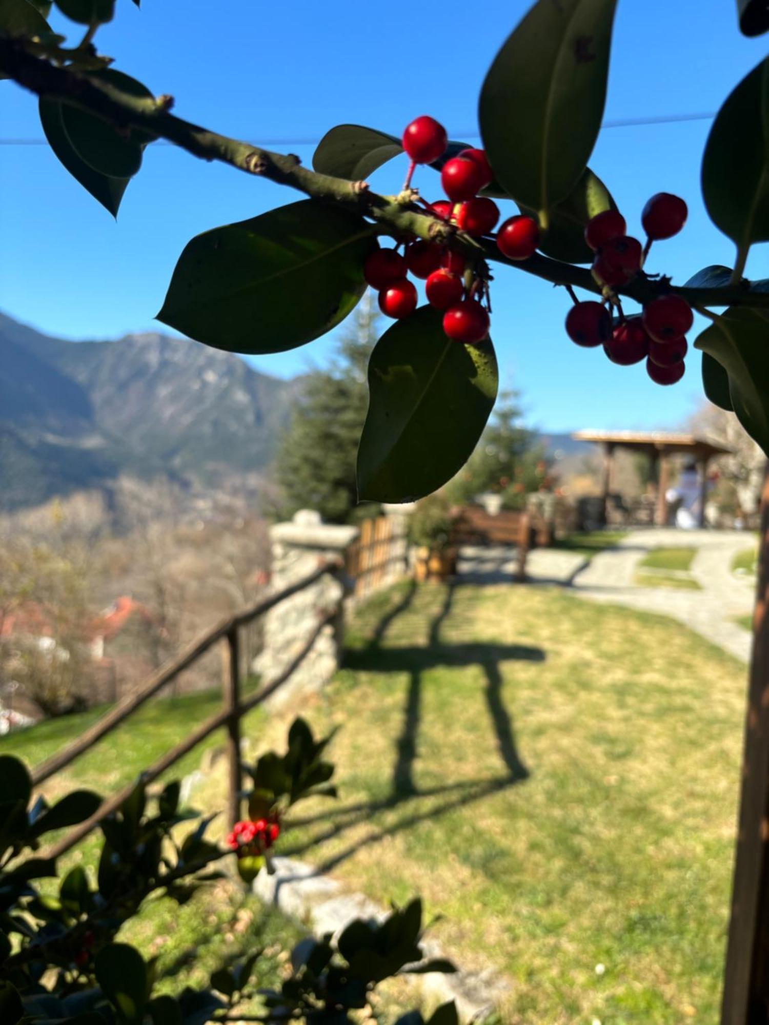 Πέτρινο Όραμα Hotel Kotronion  Buitenkant foto